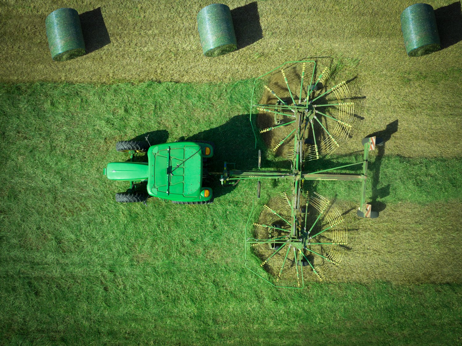 Forragem Desidratada